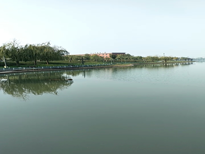 1780622784355001.jpg 2.jpg