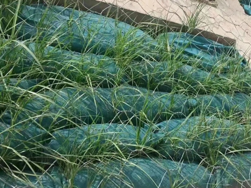生態(tài)袋
